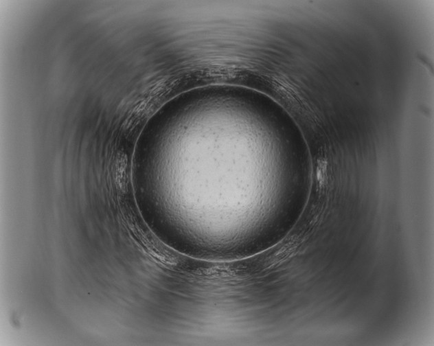 X0000100780867200806261627