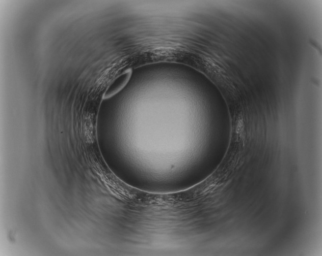 X0000100780868200806261627