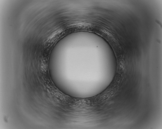 X0000100780869200806261627