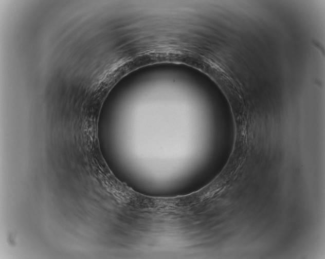 X0000100780870200806261627