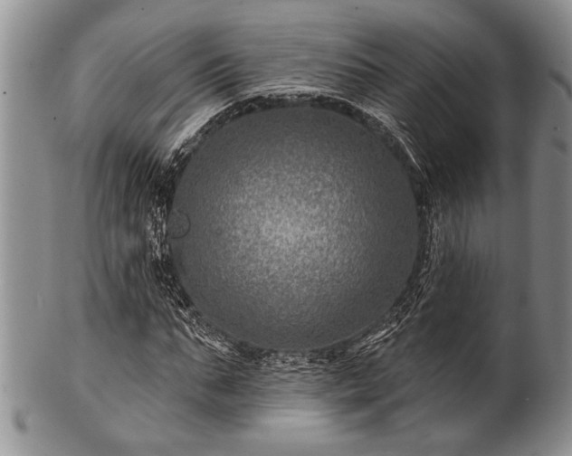 X0000100780871200806261627