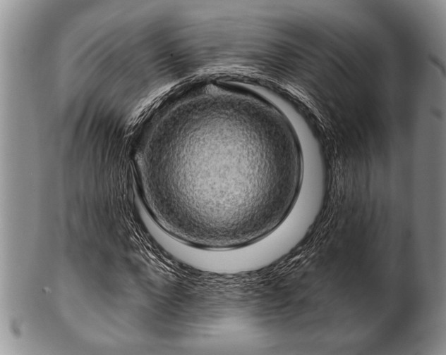 X0000100780872200806261627