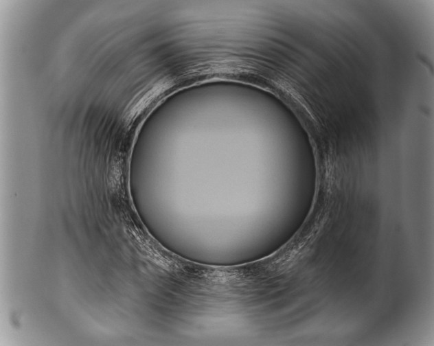 X0000100780874200806261627