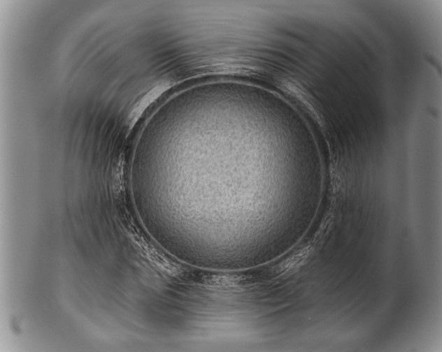 X0000100780875200806261627