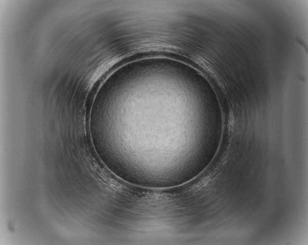 X0000100780877200806261627