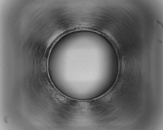 X0000100780878200806261627