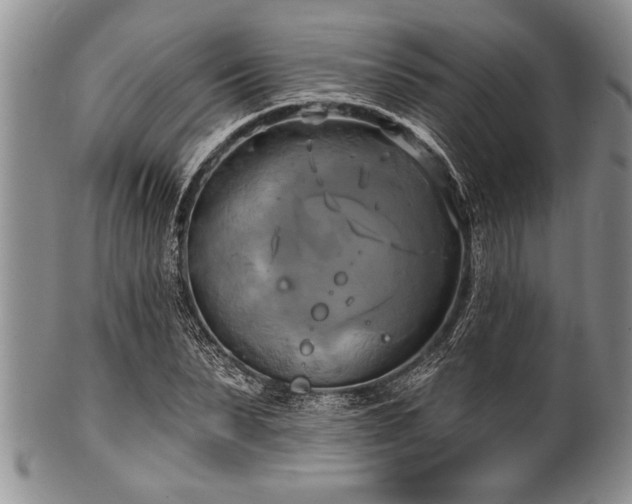 X0000100780879200806261627