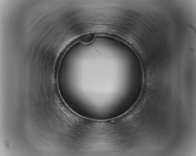 X0000100780880200806261627