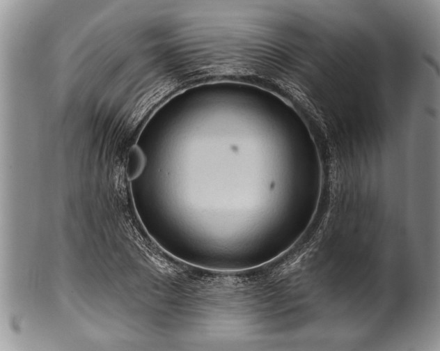 X0000100780881200806261627