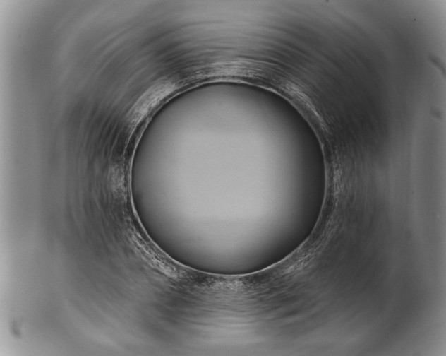 X0000100780882200806261627