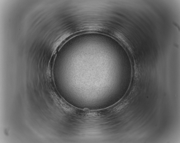 X0000100780883200806261627