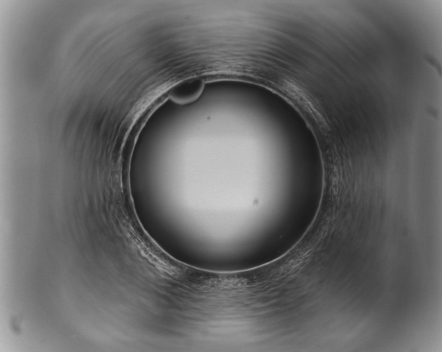 X0000100780884200806261627