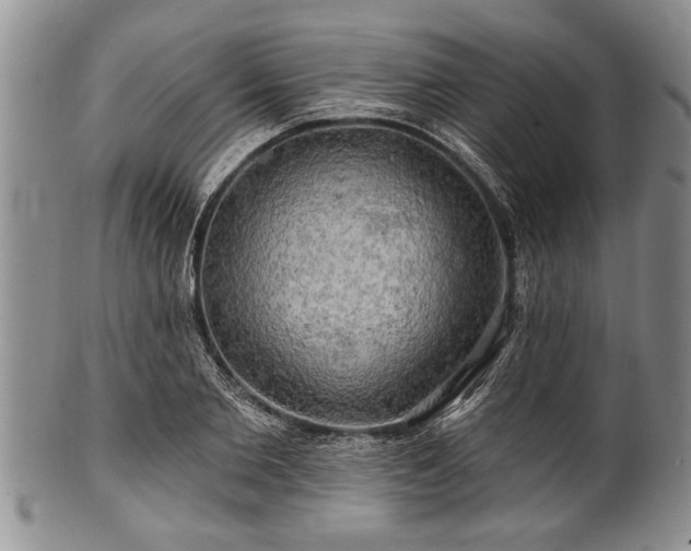 X0000100780885200806261627