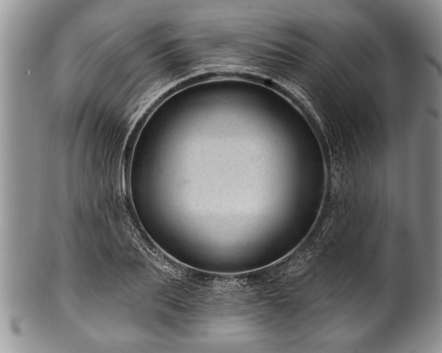 X0000100780887200806261626