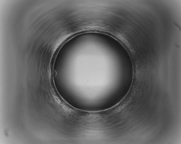 X0000100780888200806261626