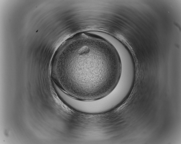 X0000100780892200806261626