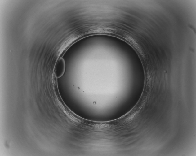 X0000100780893200806261626