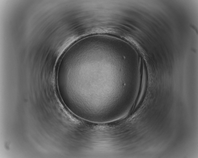 X0000100780894200806261626