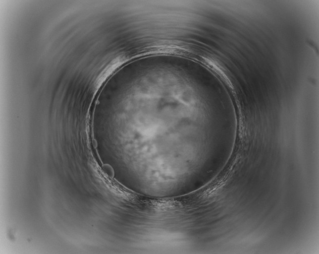 X0000100780899200806261626