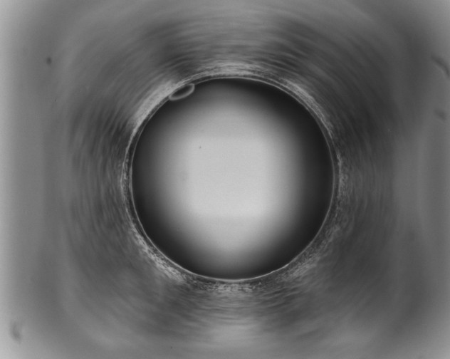 X0000100780901200806261626