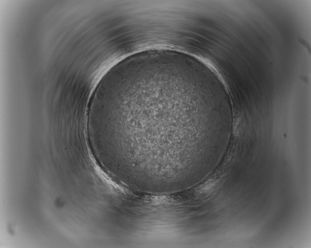 X0000100780903200806261626