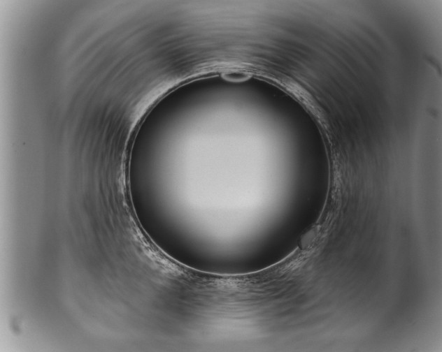 X0000100780904200806261626