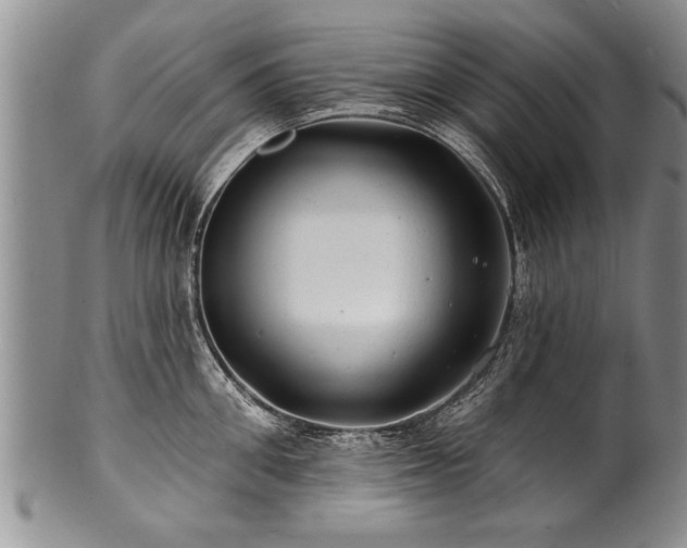 X0000100780906200806261626