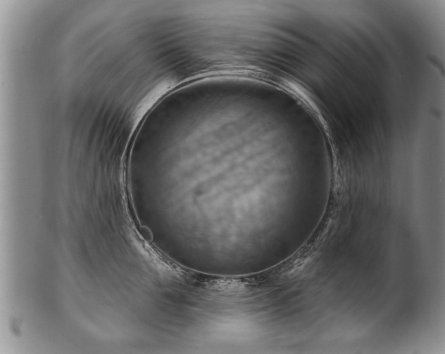 X0000100780907200806261626