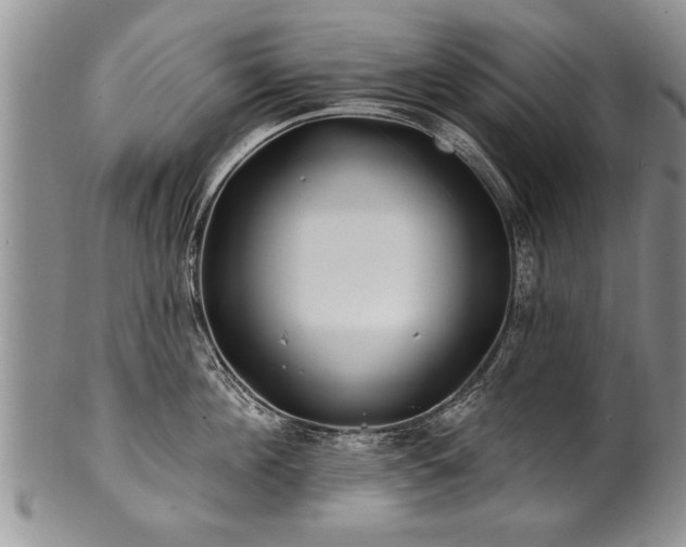 X0000100780908200806261626