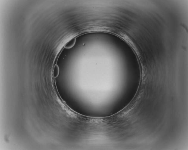 X0000100780909200806261626