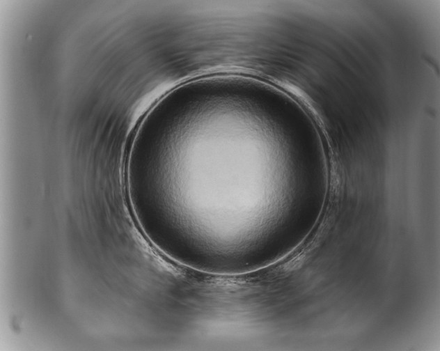 X0000100780910200806261626