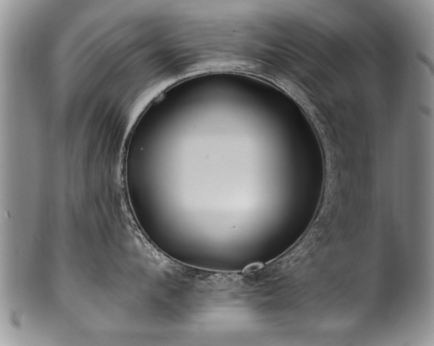 X0000100780912200806261626