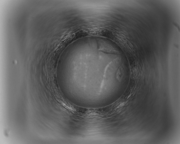 X0000100780913200806261625