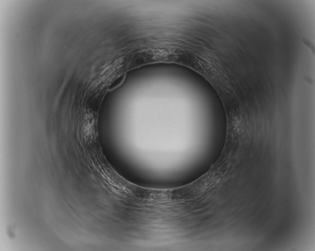 X0000100780914200806261625