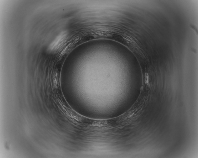 X0000100780915200806261625