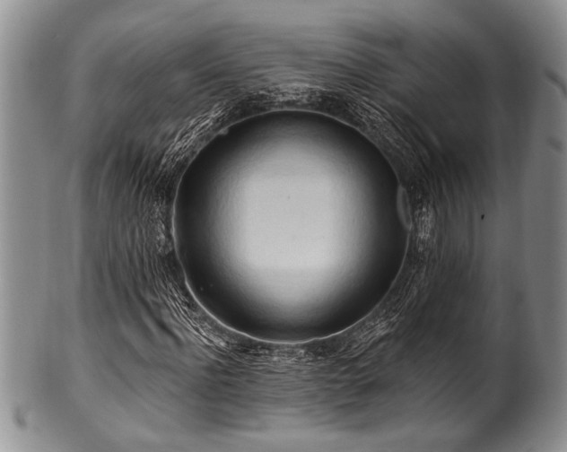 X0000100780916200806261625