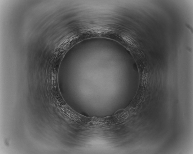 X0000100780917200806261625