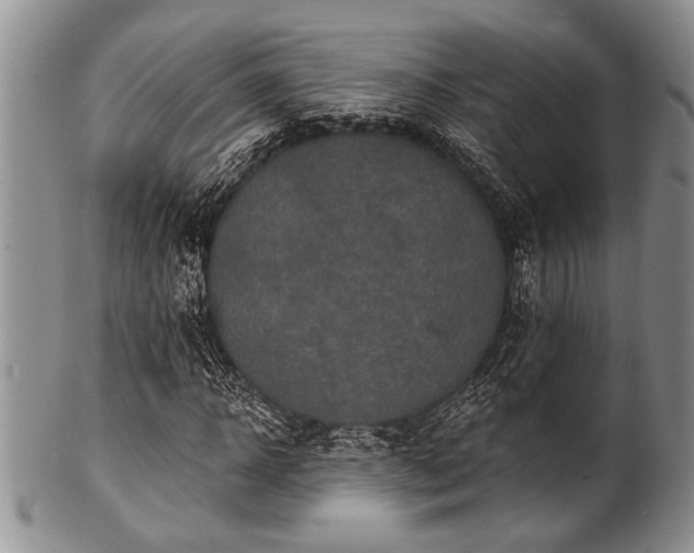 X0000100780918200806261625