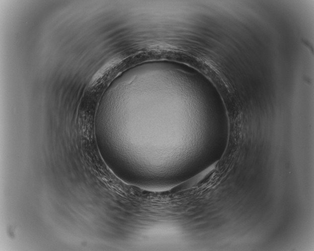 X0000100780919200806261625