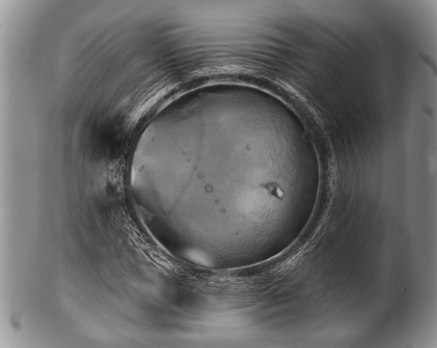 X0000100780921200806261625