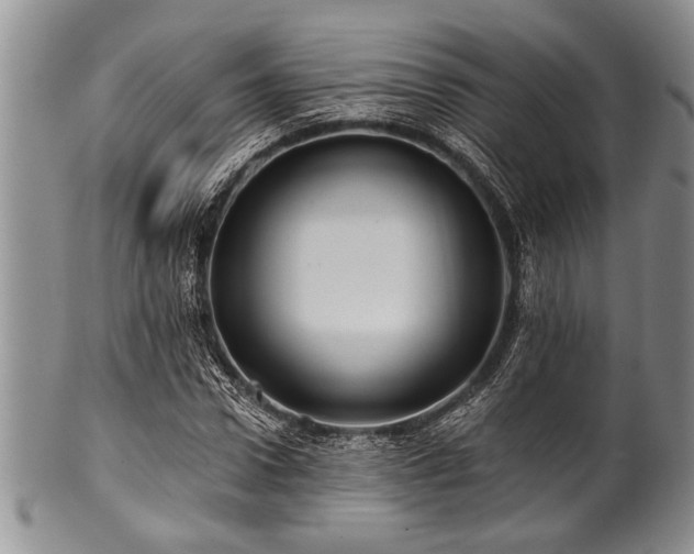 X0000100780922200806261626