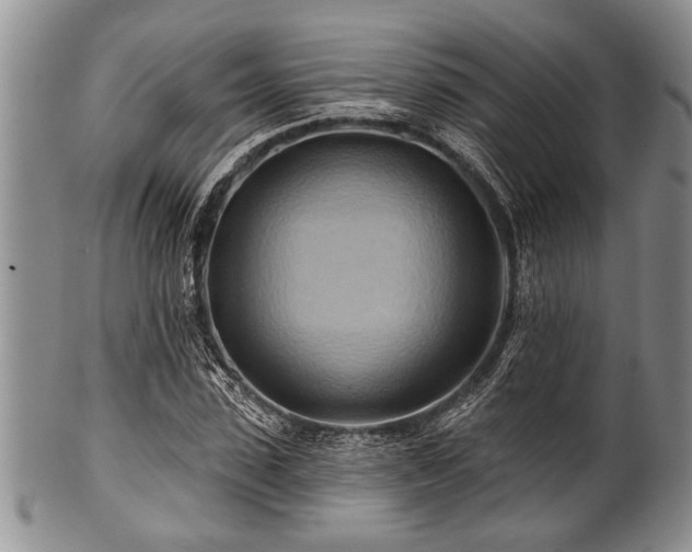 X0000100780923200806261626