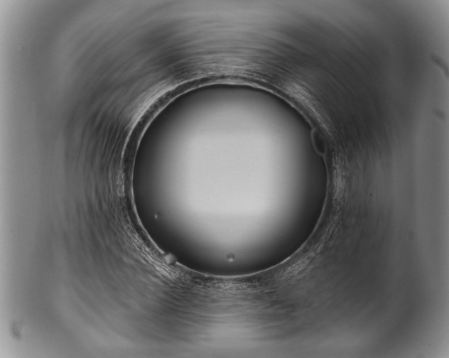 X0000100780924200806261626