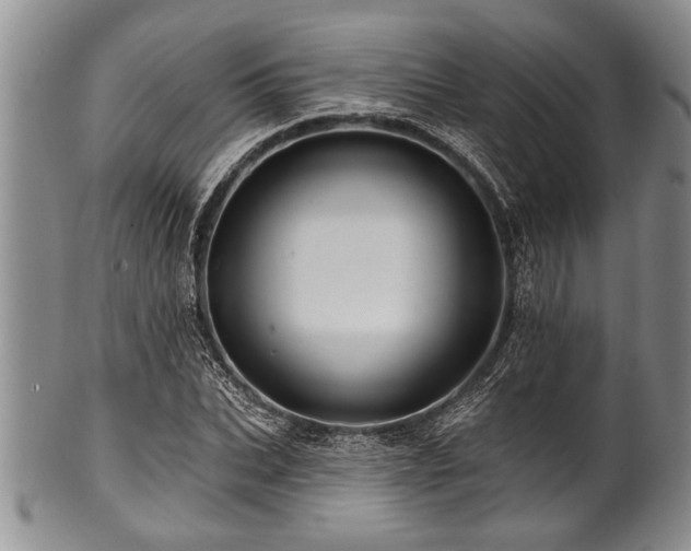 X0000100780927200806261626