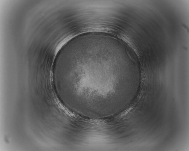 X0000100780928200806261626