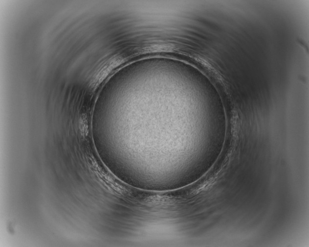 X0000100780929200806261626