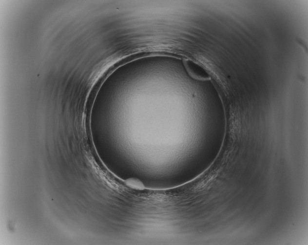 X0000100780932200806261626