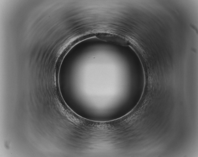 X0000100780934200806261626