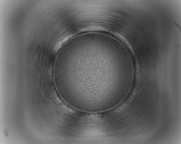 X0000100780937200806261626