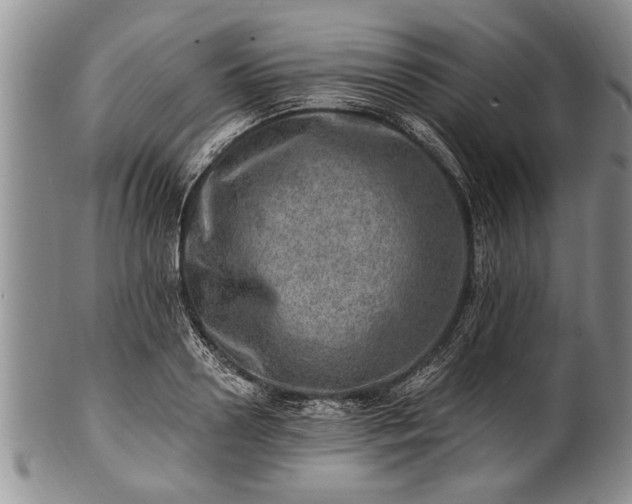 X0000100780938200806261626